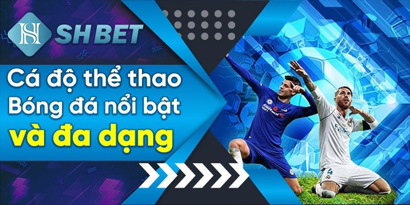 SHBET.COM 47 thể thao shbet