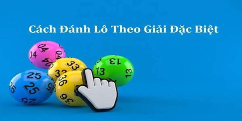 Bắt Cầu Theo Tuần Giải Đặc Biệt Đơn Giản Cho Tân Thủ 1 Bắt cầu theo tuần và những điều cần biết