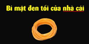 Bí mật của nhà cái lừa đảo luôn dành chiến thắng?