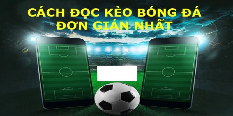 Tài Xỉu 1.75 Là Gì Và Những Kinh Nghiệm, Lưu Ý Cần Nhớ 2 Cách đọc kèo tài xỉu 1.75 là gì?
