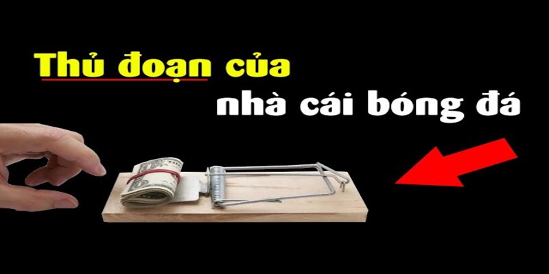 Bí Mật Của Nhà Cái Lừa Đảo Mà Cược Thủ Ít Người Biết 3 Lưu ý cho người chơi mới khi lựa chọn nhà cái