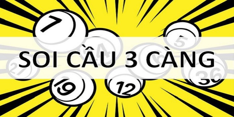 Tỷ Lệ Ăn Đề 3 Càng Bao Nhiêu Và Cách Đánh Chuẩn Cho Tân Thủ 3 Cách đánh đề 3 càng chuẩn dễ trúng